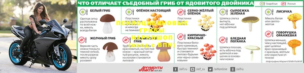 трава Михайловка