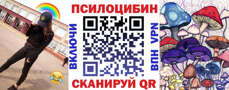 Псилоцибиновые грибы Cubensis  Никольское 